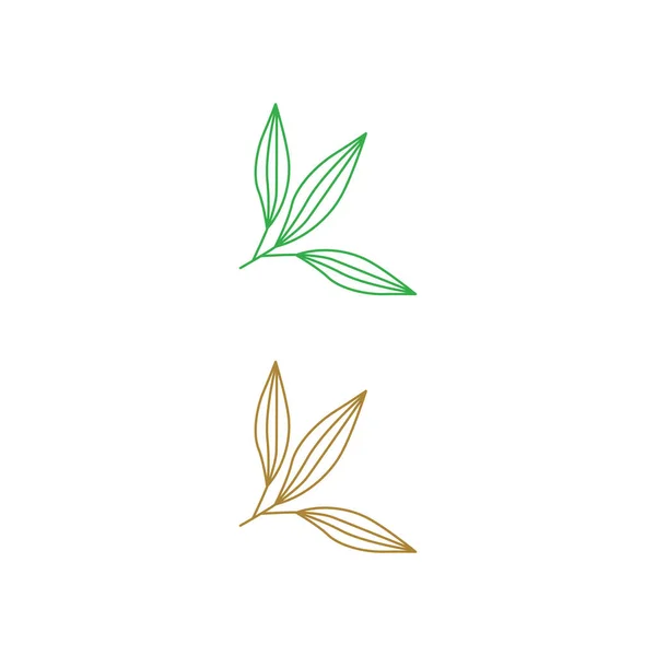 Σετ Φύλλων Πράσινο Καφέ Σύμβολο Σύμβολο Τέχνη Λογότυπο Που Απομονώνονται — Διανυσματικό Αρχείο