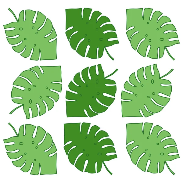 Monstera Design Leaves Texture Pattern Background Vector — 스톡 벡터