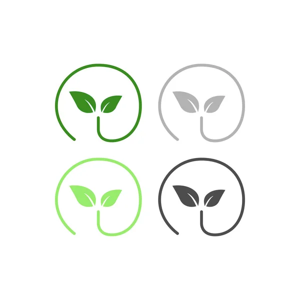 Natural Organi Fresh Gıda Eco Ham Gıda Ürünleri Logosu Şaret — Stok Vektör