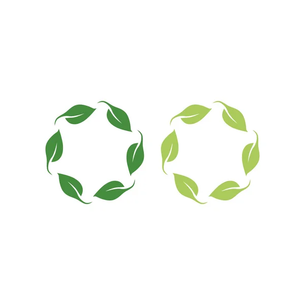Alimentos Orgânicos Naturais Alimentares Frescos Logo Produto Alimentar Bio Bruto —  Vetores de Stock