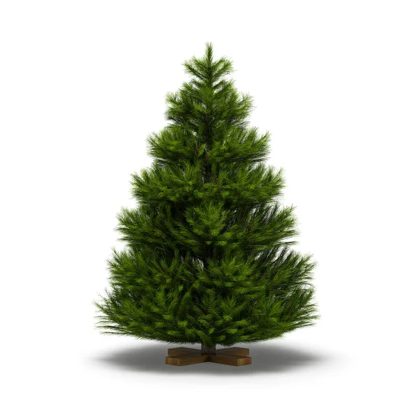 Árvores Natal Sem Decoração Isolada Fundo Branco — Fotografia de Stock