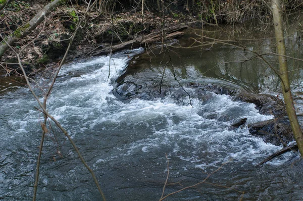 Proudící Voda Lese Jaře Jarní Scéna — Stock fotografie