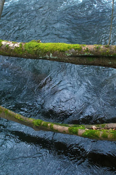 苔むした枝を持つ川の上に木製の橋 クローズアップ — ストック写真