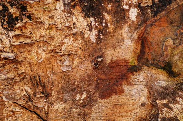 Alte Holzstruktur Mit Natürlichen Mustern Abstrakter Hintergrund Und Textur Für — Stockfoto