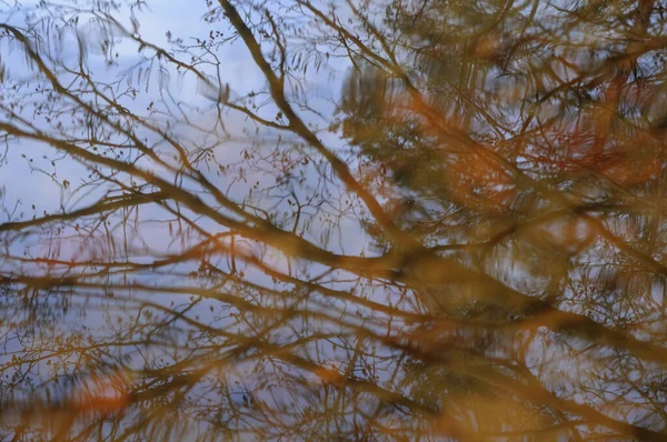 Spiegelung Der Herbstbäume Wasser Selektiver Fokus — Stockfoto