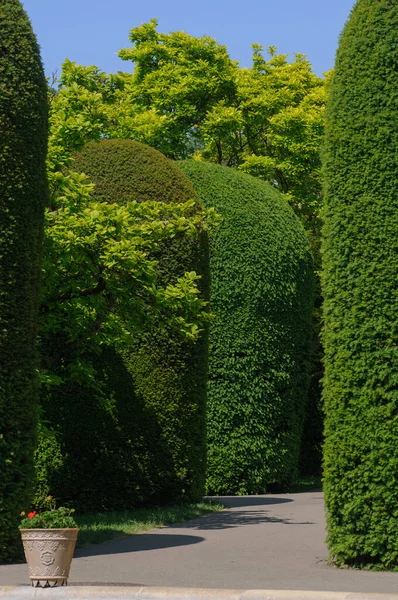 stock image path in the park. trees in the park. garden in the park. 