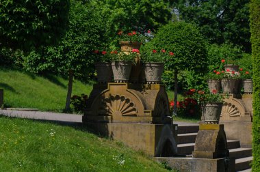 Gölette nilüfer çiçeği, yeşil yapraklı ve nilüferli..