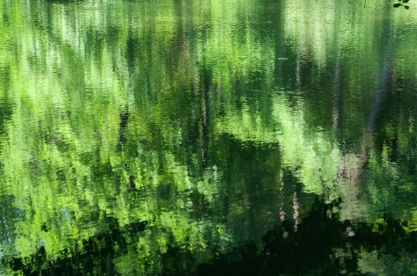 水面上倒映着树木和云彩的抽象绿色背景 湖水里倒映着树木 摘要背景 — 图库照片