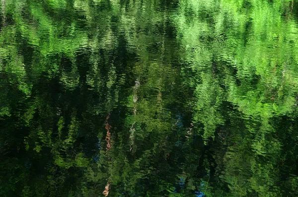 水の中の木々や雲を映し出す抽象的な緑の背景 湖の水の中の木の反射 要旨の背景 — ストック写真