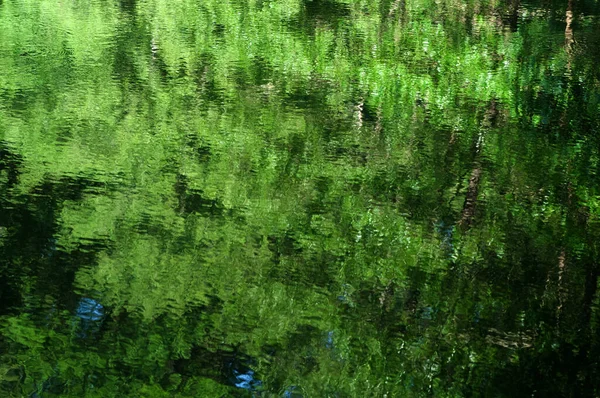Elvont Zöld Háttér Tükröződik Fák Felhők Vízben Tükröződik Fák Víz — Stock Fotó