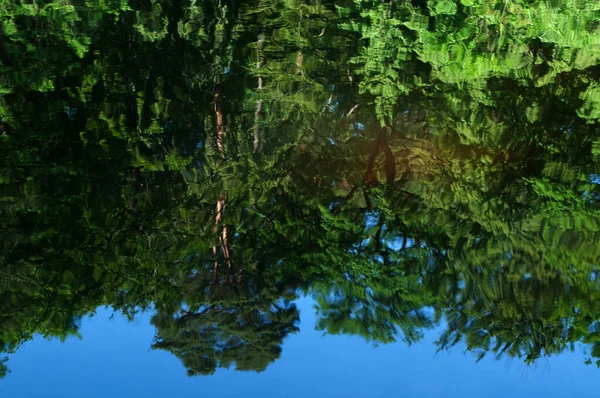 Abstrakte Grüne Hintergrund Mit Reflexion Der Bäume Und Wolken Wasser — Stockfoto