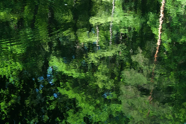 Resumo Fundo Verde Com Reflexo Árvores Nuvens Água Reflexão Árvores — Fotografia de Stock