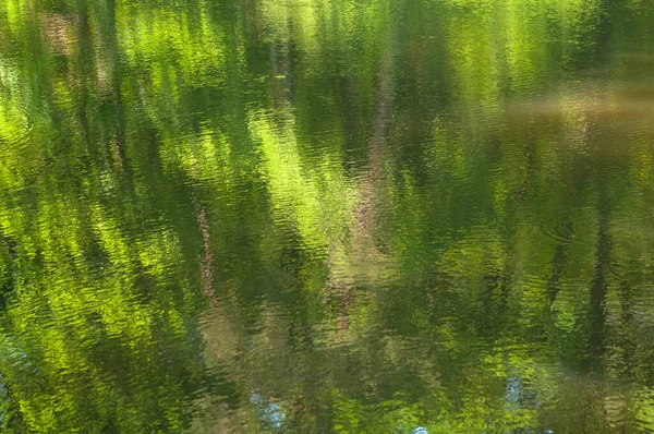 水の中の木の反射 デザインの要約 — ストック写真