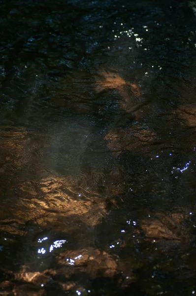 Nachts Fließt Wasser Den Wald Abstrakter Hintergrund Und Textur Reflexion — Stockfoto