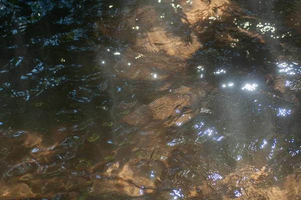 Éjszaka Víz Folyik Erdőben Absztrakt Háttér Textúra Reflection Napfény Felszínen — Stock Fotó