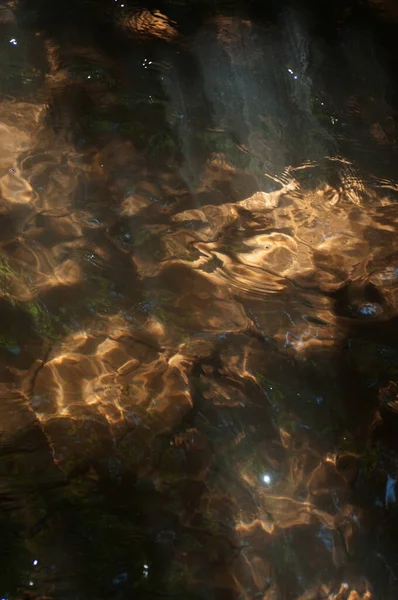 Ночью Лесу Течет Вода Абстрактный Фон Текстура Отражение Солнечного Света — стоковое фото