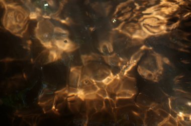 Su ormanın yüzeyinde dalgalanır. Dalgalanan su yüzeyinin dalgalanma ve yansımalarla soyut arkaplanı. Suyun yüzeyine yansıyan güneş ışığı. Soyut arkaplan.