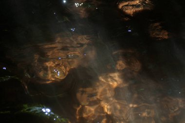 Su ormanın yüzeyinde dalgalanır. Dalgalanan su yüzeyinin dalgalanma ve yansımalarla soyut arkaplanı. Suyun yüzeyine yansıyan güneş ışığı. Soyut arkaplan.