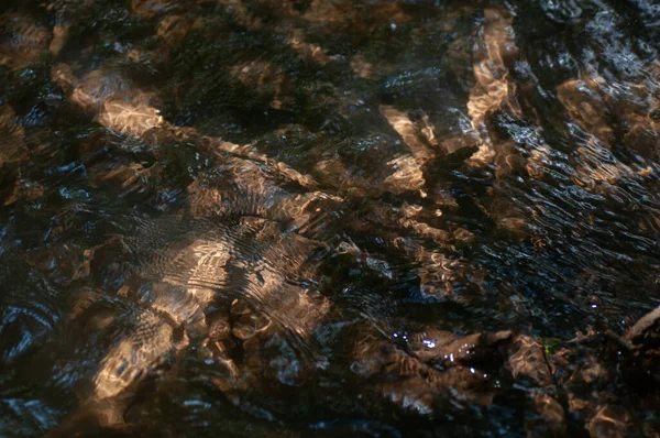 森の中の川の表面の水の波紋 波紋や反射とさざ波の水面の抽象的な背景 水の表面に太陽光の反射 要旨の背景 — ストック写真