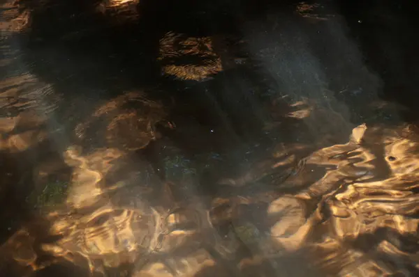Wasser Plätschert Auf Der Oberfläche Des Flusses Wald Abstrakter Hintergrund — Stockfoto