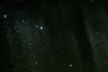 Güneş ışınları ve yüzeyde yansımaları olan soyut karanlık su yüzeyi. Karanlık ve doğal arka planda güneş ışığının su yüzeyine yansıması..