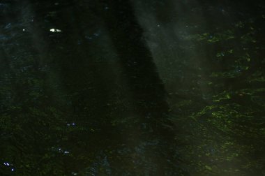 Güneş ışınları ve yüzeyde yansımaları olan soyut karanlık su yüzeyi. Karanlık ve doğal arka planda güneş ışığının su yüzeyine yansıması..