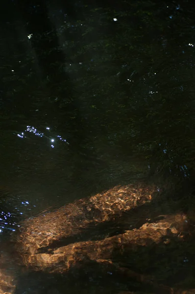 Отражение Солнечного Света Поверхности Воды Близком Расстоянии Поверхности — стоковое фото