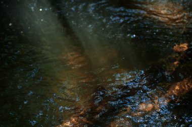 Güneş ışığının su yüzeyine yansıması, yakın çekim. Güneş ışınları ve yüzeydeki yansımalarla soyut karanlık su yüzeyi..