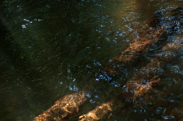 Reflection Sunlight Surface Water Close Absztrakt Sötét Vízfelület Napsugarakkal Visszaverődésekkel — Stock Fotó