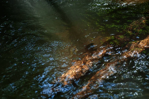 Reflexion Des Sonnenlichts Auf Der Wasseroberfläche Nahaufnahme Abstrakte Dunkle Wasseroberfläche — Stockfoto