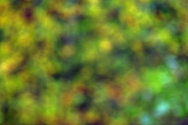 soyut yeşil arkaplan, bokeh çözünmüş ışıkları ve gölgeli ormanlık arka plan bulanıklaştırılmış yapraklar, sonbahar ormanının bokehabstrakt arka planı ve bokeh söndürülmüş ışıkları.