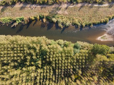 Bulgaristan 'ın Vratsa Bölgesi' ndeki Strupets köyü yakınlarından geçen Iskar Nehri 'nin havadan sonbahar manzarası