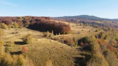 Bulgaristan 'ın Vitosha Dağı' nın İnanılmaz Sonbaharı