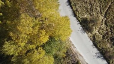 Bulgaristan 'ın Vitosha Dağı' nın İnanılmaz Sonbaharı