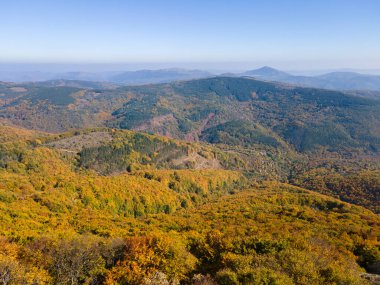 Bulgaristan 'ın Pernik bölgesindeki Erul Dağı' nın İnanılmaz Sonbahar Manzarası