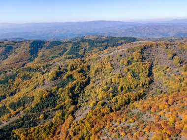 Bulgaristan 'ın Pernik bölgesindeki Erul Dağı' nın İnanılmaz Sonbahar Manzarası
