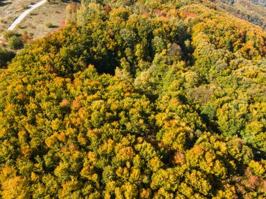 Bulgaristan 'ın Vitosha Dağı' nın şaşırtıcı sonbahar manzarası