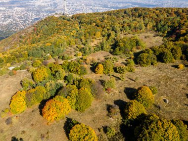 Bulgaristan 'ın Vitosha Dağı' nın şaşırtıcı sonbahar manzarası
