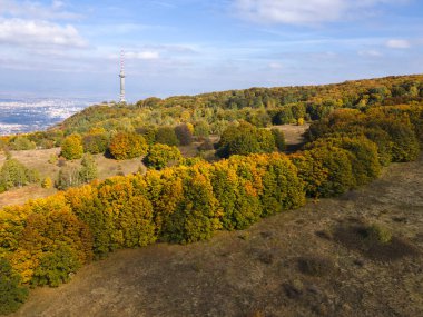 Bulgaristan 'ın Vitosha Dağı' nın şaşırtıcı sonbahar manzarası