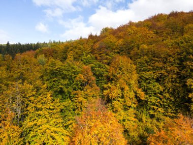 Bulgaristan 'ın Vitosha Dağı' nın şaşırtıcı sonbahar manzarası