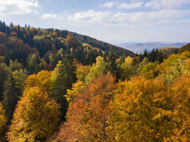 Bulgaristan 'ın Vitosha Dağı' nın şaşırtıcı sonbahar manzarası