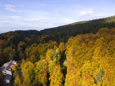 Bulgaristan 'ın Vitosha Dağı' nın şaşırtıcı sonbahar manzarası