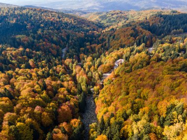 Bulgaristan 'ın Vitosha Dağı' nın şaşırtıcı sonbahar manzarası