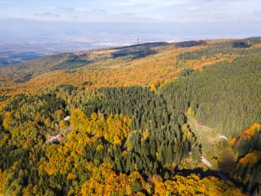Bulgaristan 'ın Vitosha Dağı' nın şaşırtıcı sonbahar manzarası