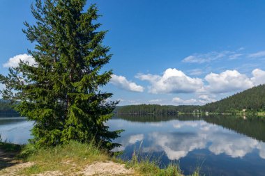 Bulgaristan 'ın Pazardzhik bölgesinin Golyam Beglik Barajı yaz manzarası