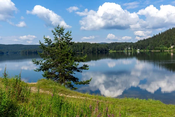 ブルガリア パザルジェク地方のゴラム ベグリク貯水池の夏の景色 — ストック写真