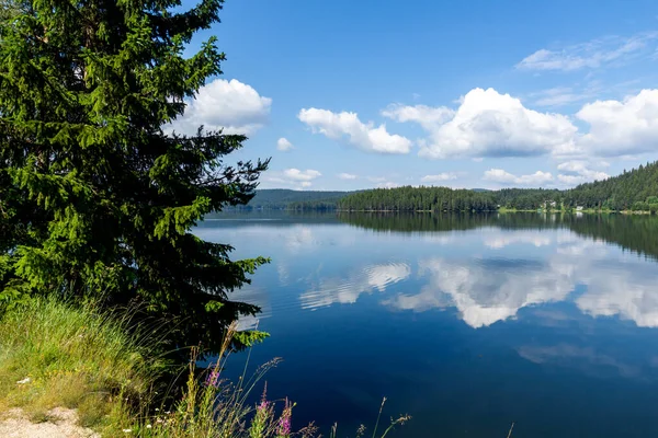 Letní Pohled Golyam Beglik Reservoir Pazardzhik Region Bulharsko — Stock fotografie