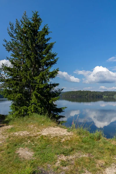 Vista Verão Golyam Beglik Reservoir Região Pazardzhik Bulgária — Fotografia de Stock