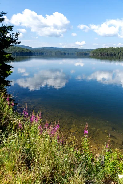 Summer View Golyam Beglik Reservoir Pazardzhik Region Bulgaria — Stock Photo, Image