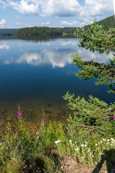 Sommaren Syn Golyam Beglik Reservoir Pazardzhik Region Bulgarien — Stockfoto